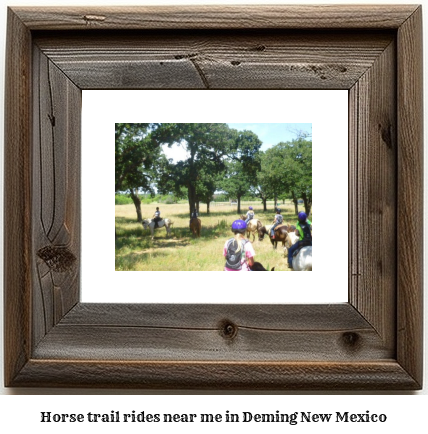 horse trail rides near me in Deming, New Mexico